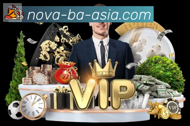 企业概况